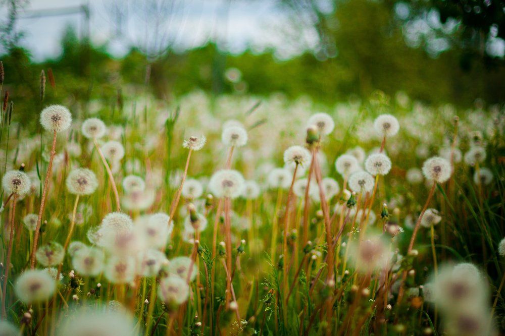 Photograph by Анастасия