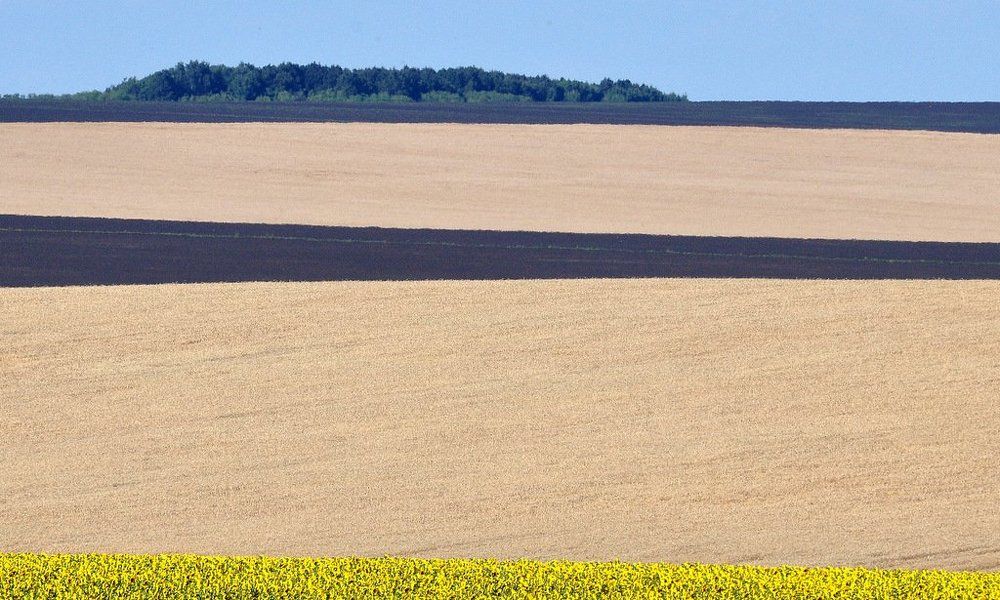 Photograph by Степанов Евгений