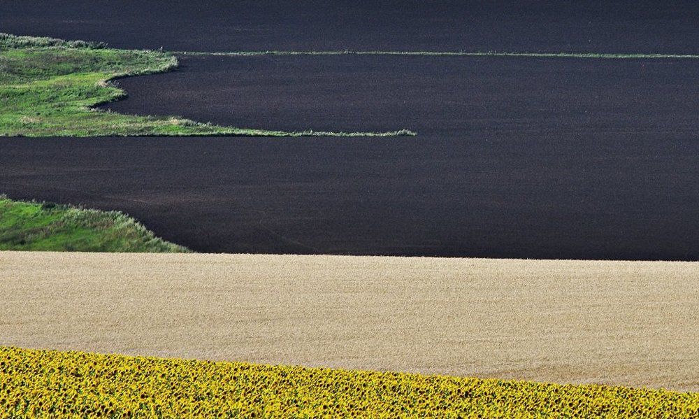 Photograph by Степанов Евгений