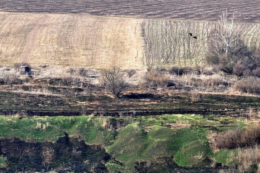 Photograph by Степанов Евгений