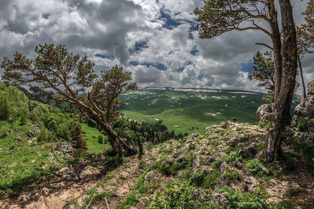 Кавказский биосферный заповедник.