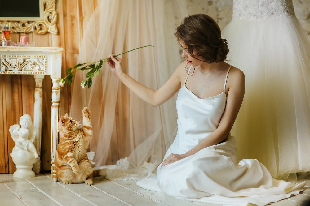 Французкое утро