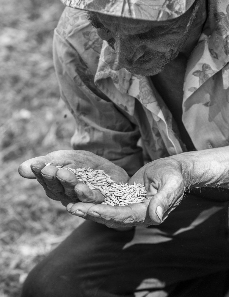 Урожаю быть!!!