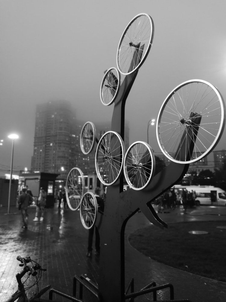 Photograph by Мадина