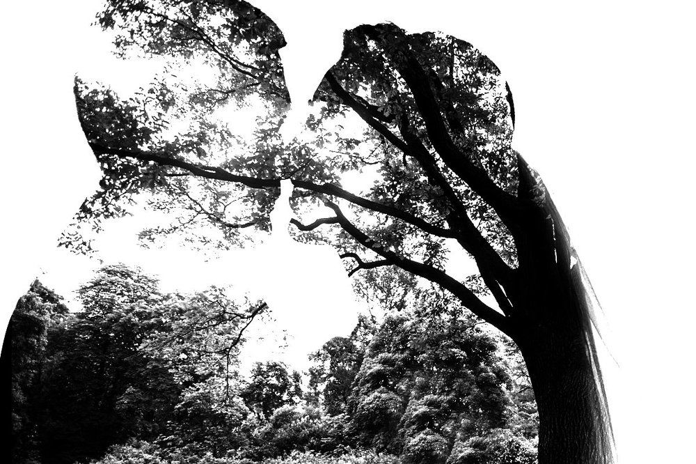 Photograph by Елисеева Алла