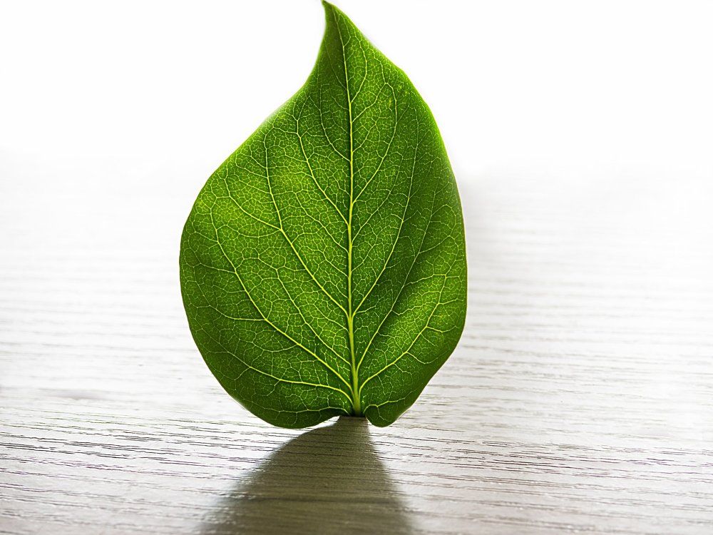 "Жить хочется везде"