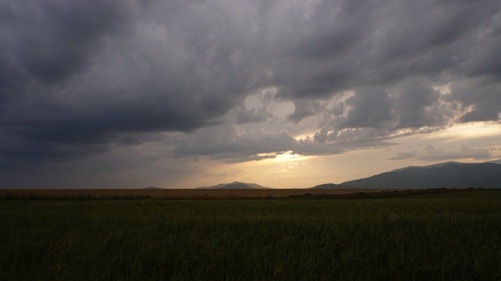 Тучи над полем...