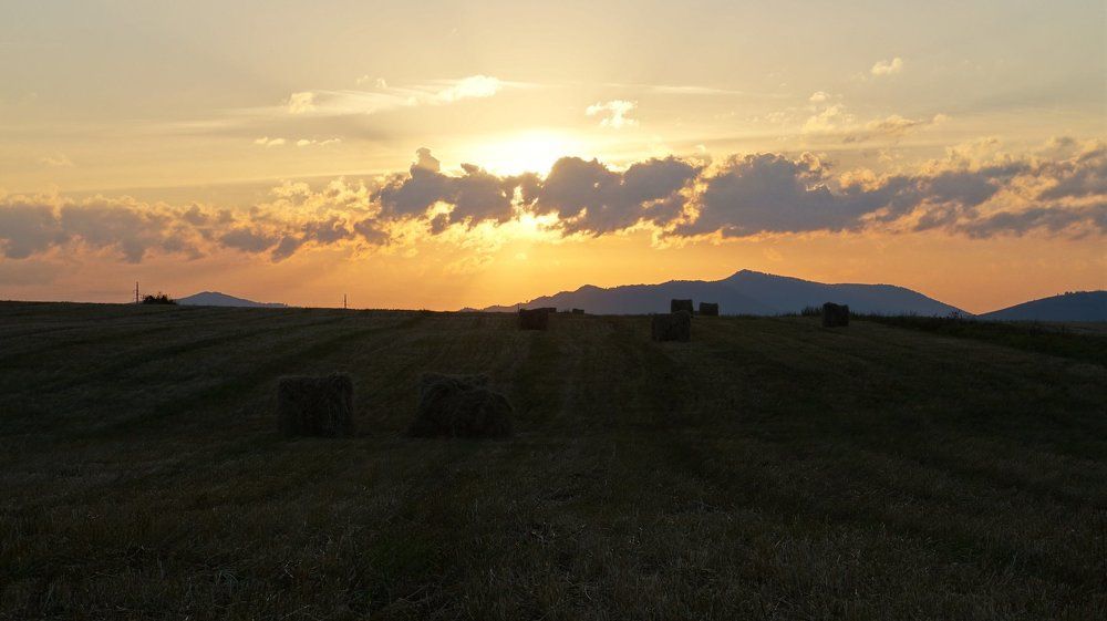 закат над полем
