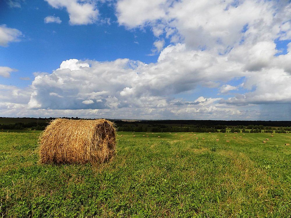 Какое небо голубое