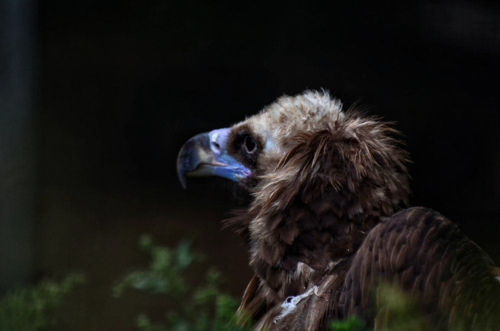 Photograph by Алексей Фомичев