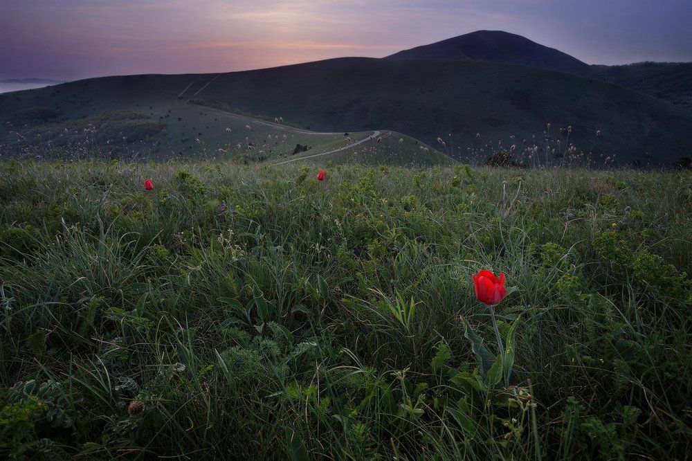 Поля Маркотхского хребта, Краснодарский край