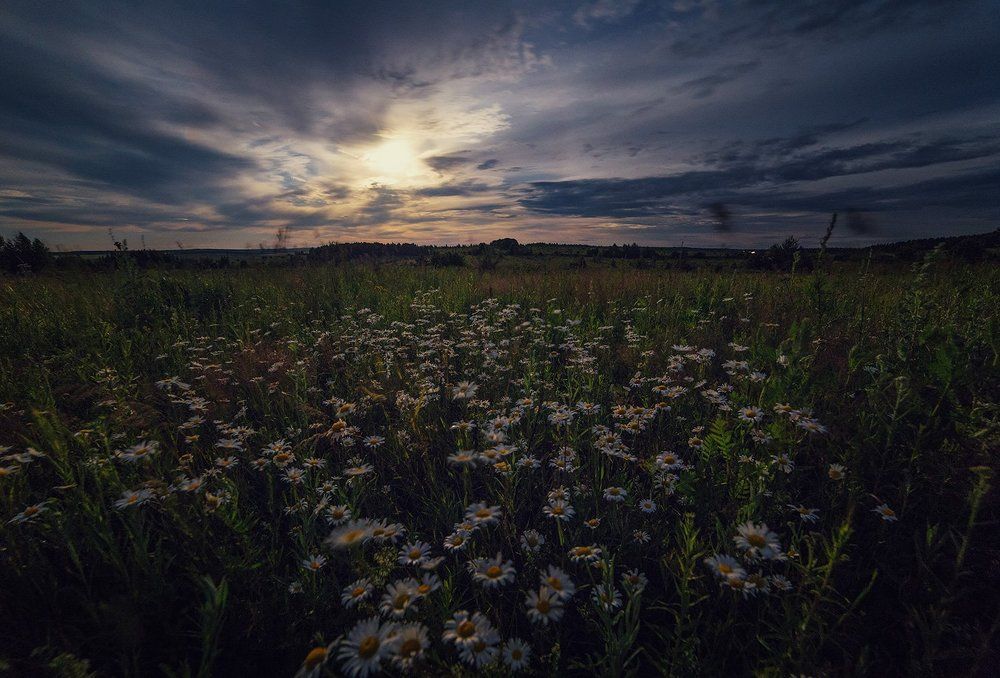 В лунном свете