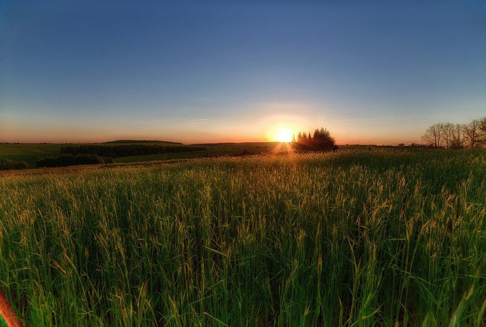 Закат в бескрайних полях