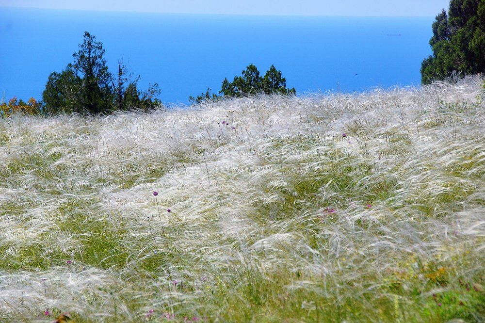 Photograph by вадим аврахов