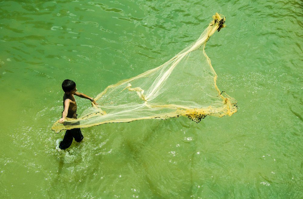 Searching for survive