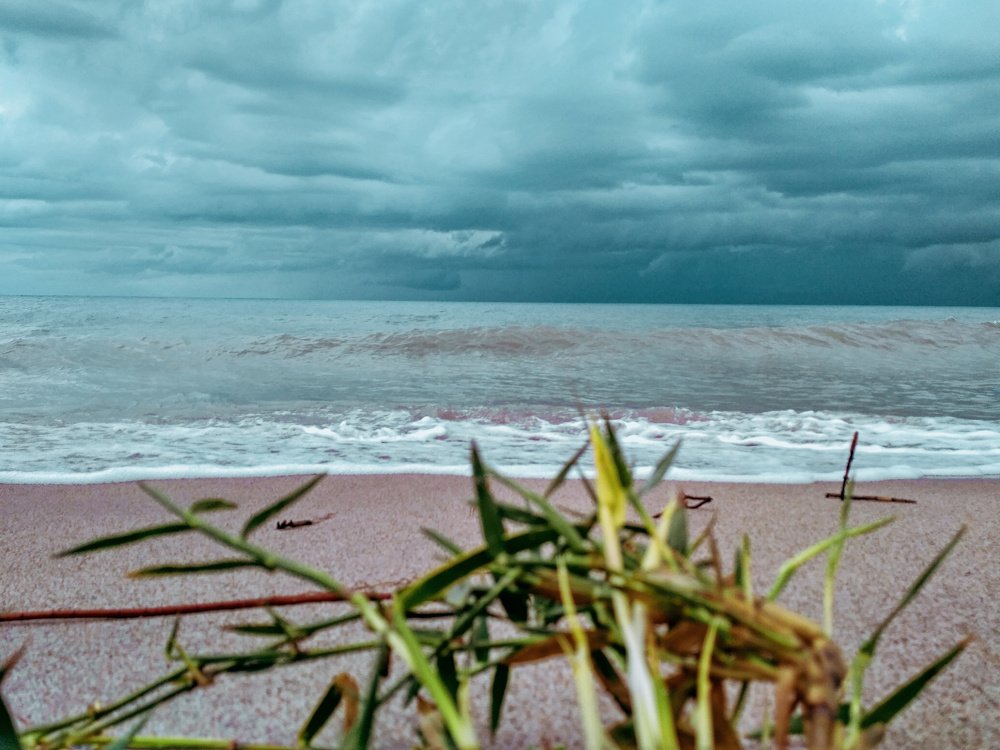 Южные сны / Southern dreams