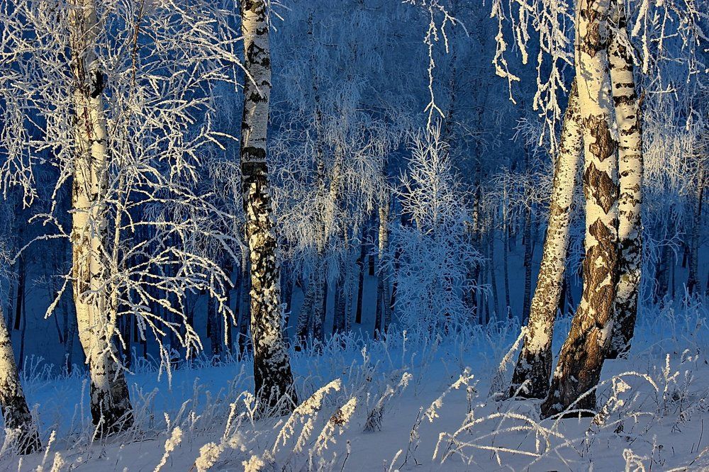 Зима - Кудесница.