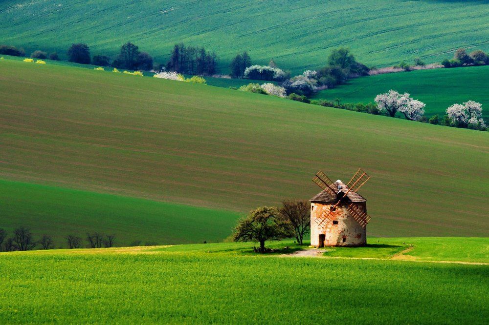 В рассветных лучах