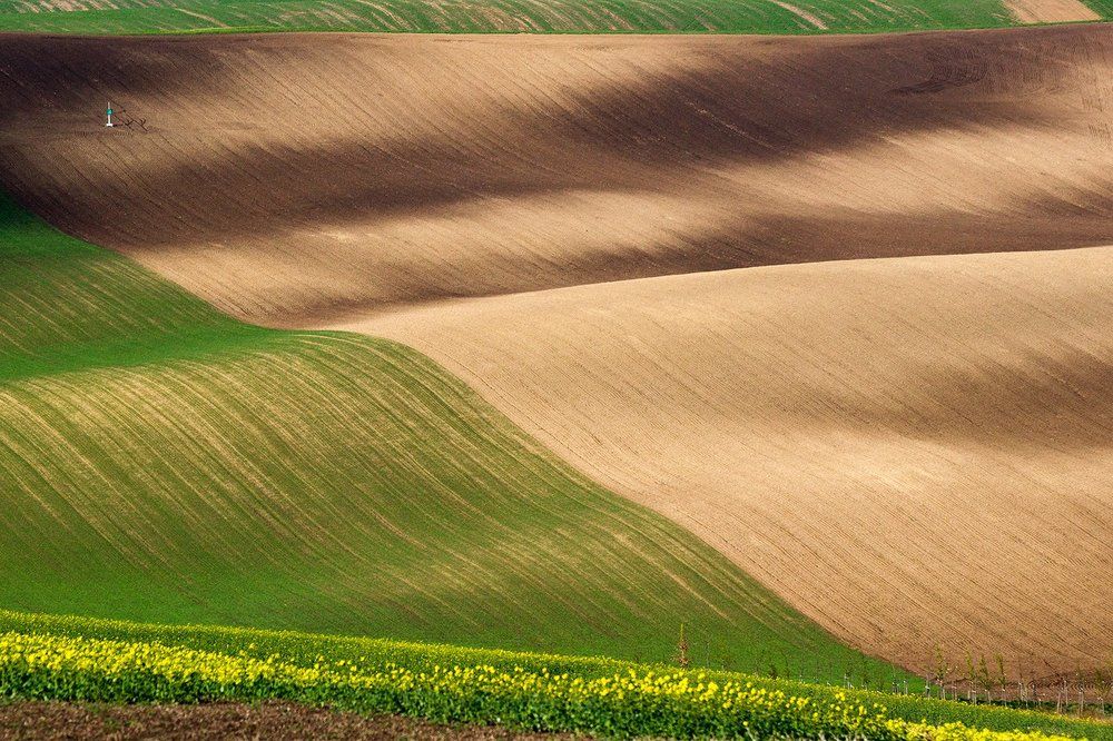 Весенние поля Моравии