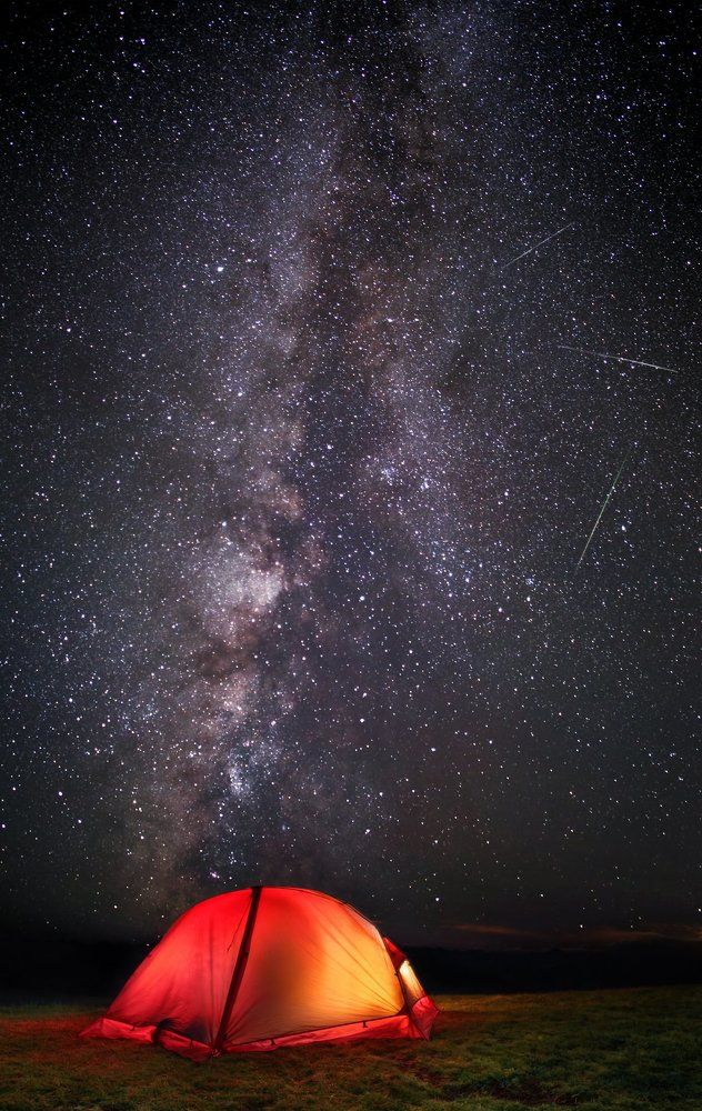 Август пахнет звездами.