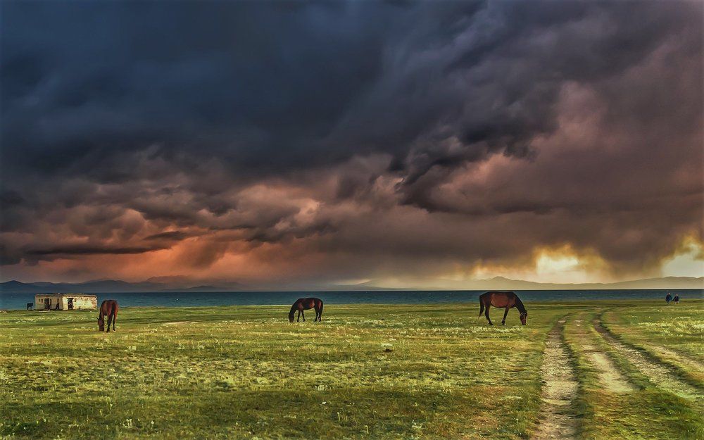 Перед бурей