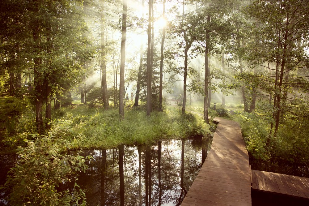 Лучи света!