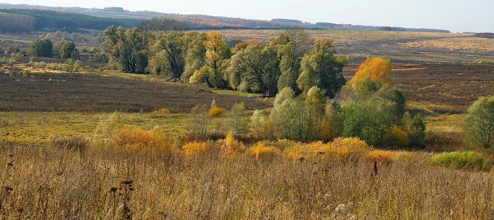 Русь бескрайняя.