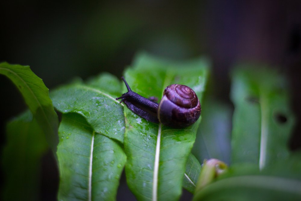 Photograph by Ляшевич Анна