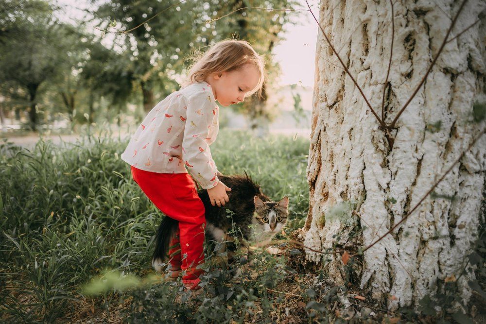 Фотография автора Дарья Шевченко