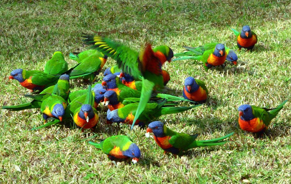 Photograph by Alfred Arnold