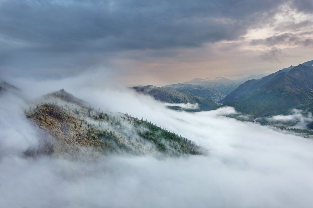 Над туманами