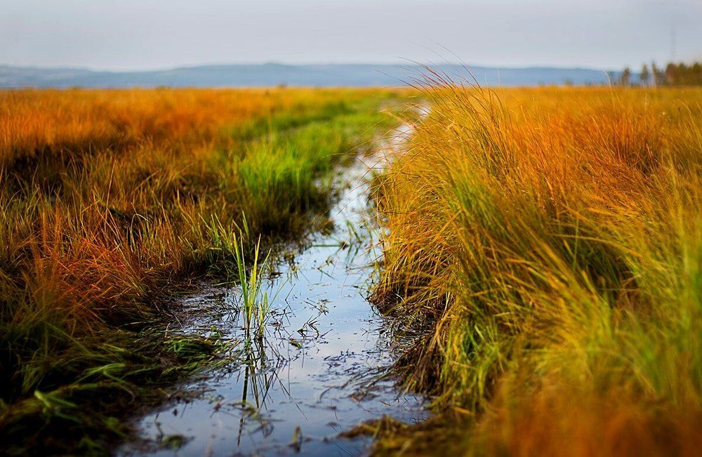 Photograph by Татьяна Никитина