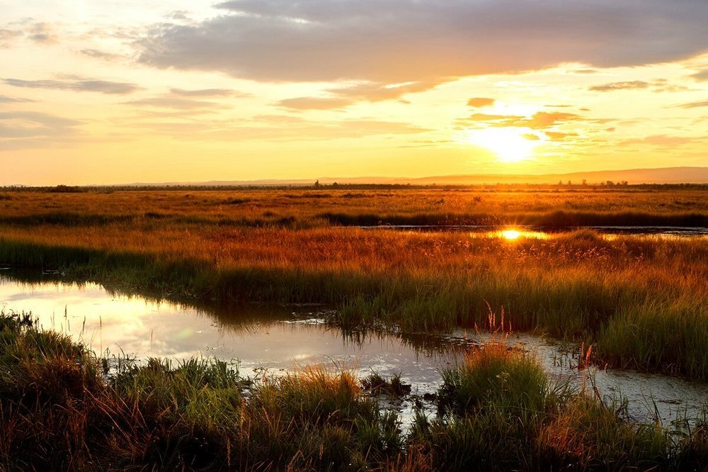 Photograph by Татьяна Никитина