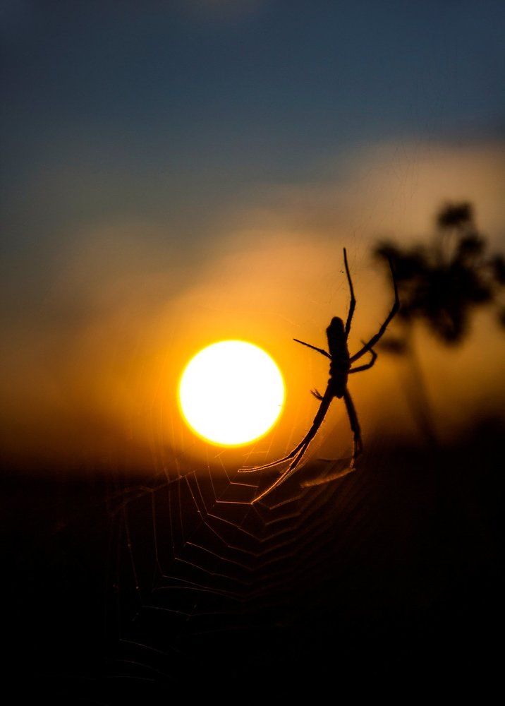 In the quietness of evening...