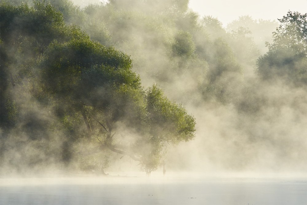Туманное утро