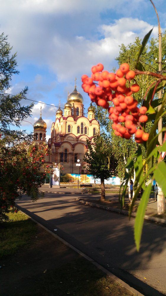 Светлый день