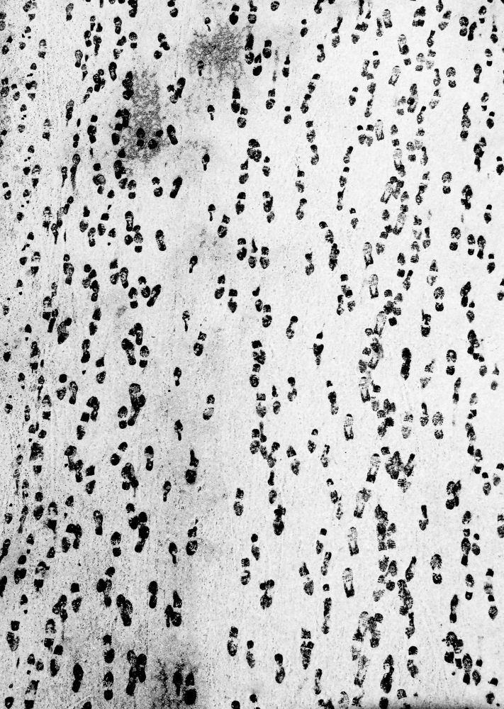 different traces - different fates