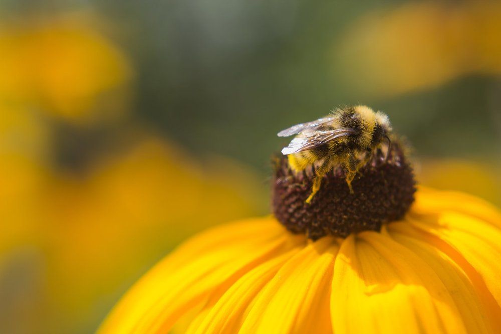 Photograph by Анастасия Хазова
