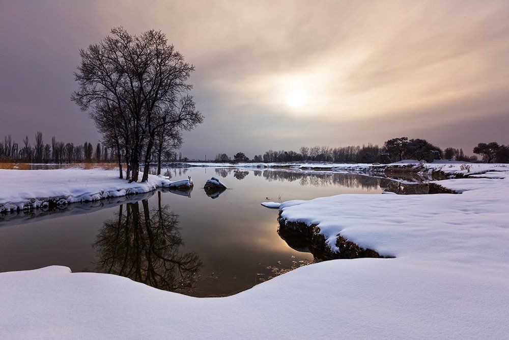The sound of silence