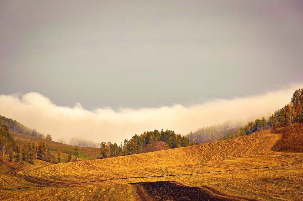 Желтое Черга.