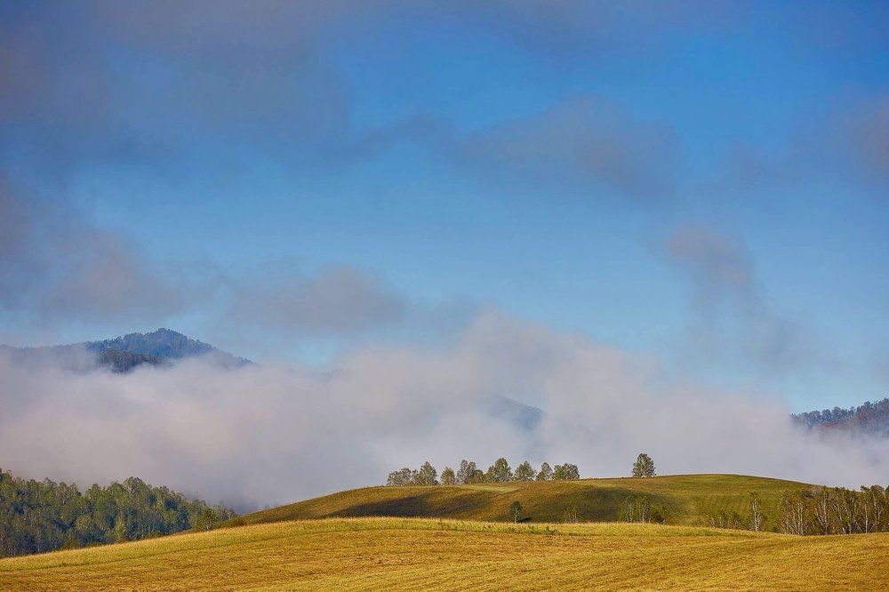 Желтое Камлак