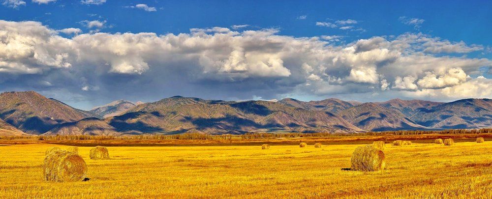 Желтое Усть-Кокса.