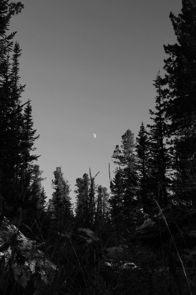 Photograph by Грачева Инга Михайловна