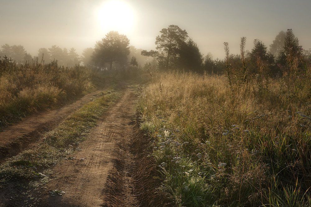 Туманное утро