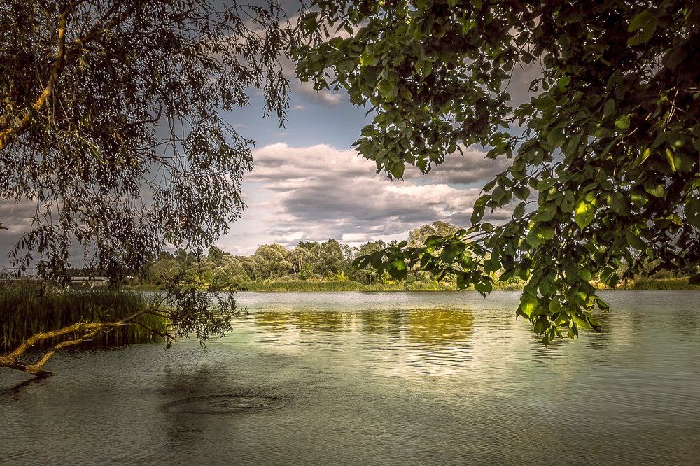 Photograph by Ginel Jurij