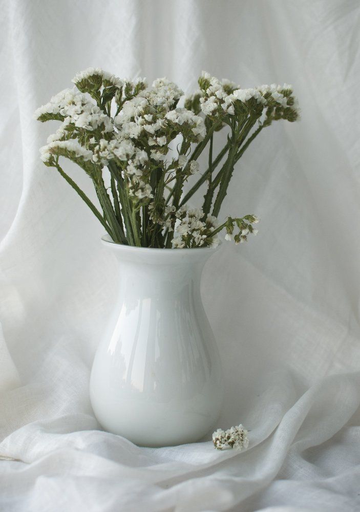 white still life with flovers