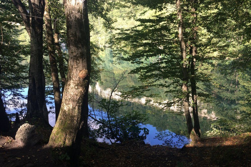 Гляжусь в озера синие