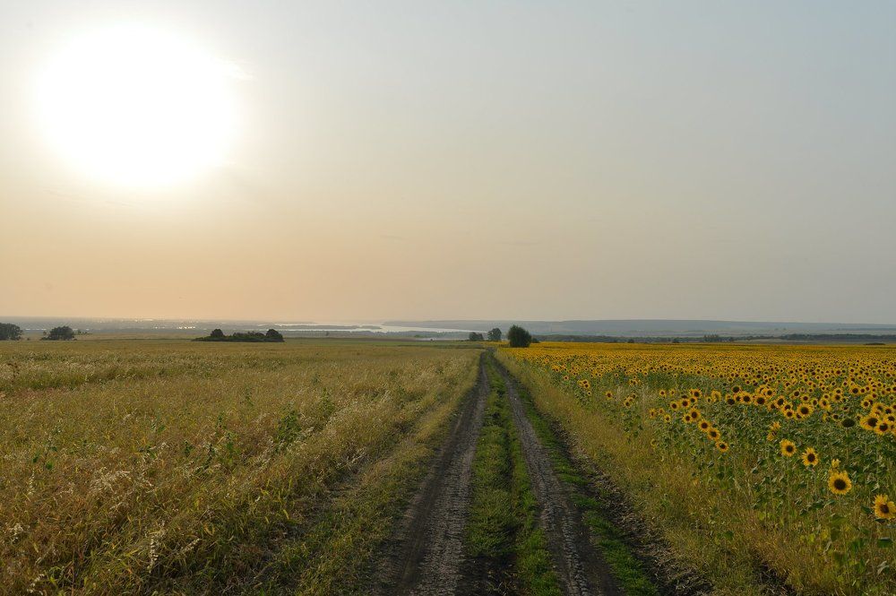 Русское поле