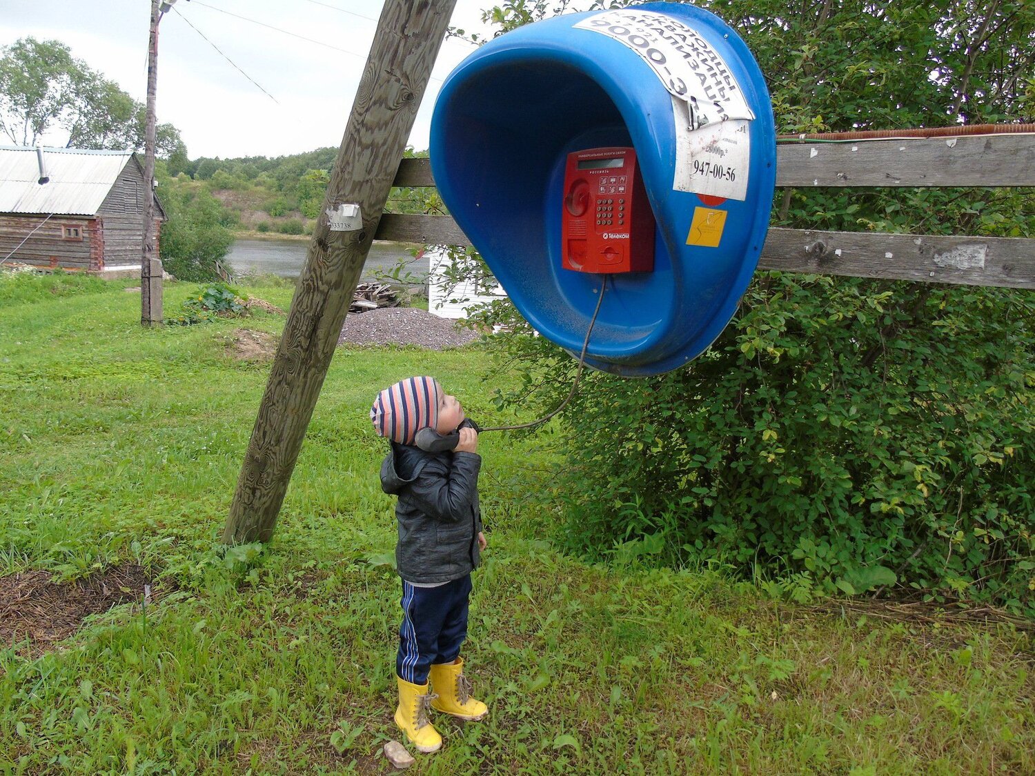 Photo #1931195