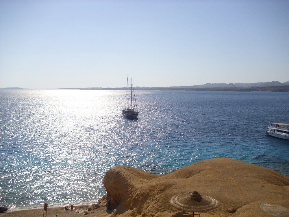 into the blue